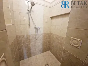 Prodej rodinného domu, Olomouc, Uhelná, 300 m2