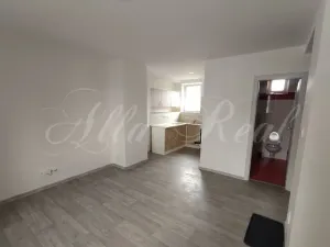 Pronájem bytu 1+kk, Malhostovice, 30 m2