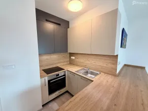 Pronájem bytu 2+kk, Brno, U Červeného mlýna, 53 m2