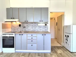 Pronájem bytu 1+kk, Písek, 17. listopadu, 19 m2