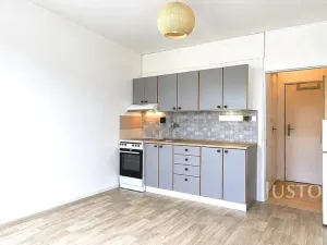Pronájem bytu 1+kk, Písek, 17. listopadu, 19 m2