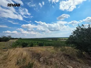 Pronájem rodinného domu, Drnholec, Lidická, 94 m2