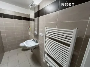 Pronájem bytu 1+kk, Plzeň, Plovární, 27 m2