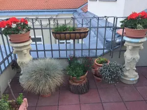 Prodej atypického bytu, Mikulov, Komenského, 164 m2