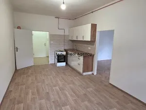 Pronájem bytu 1+1, Praha - Nusle, Na Jezerce, 49 m2