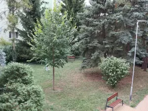 Pronájem bytu 1+1, Kyjov, Sídliště Zahradní, 36 m2