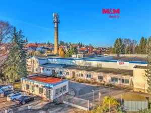 Prodej výrobních prostor, Miletín, Lhotova, 22000 m2