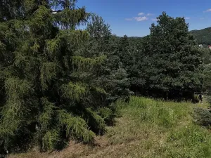 Prodej pozemku, Čtyřkoly, 3254 m2