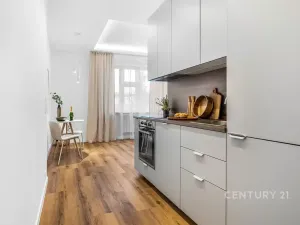 Pronájem bytu 1+kk, Praha - Žižkov, Jeseniova, 28 m2