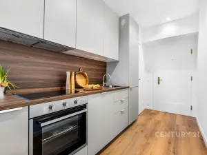 Pronájem bytu 1+kk, Praha - Žižkov, Jeseniova, 28 m2