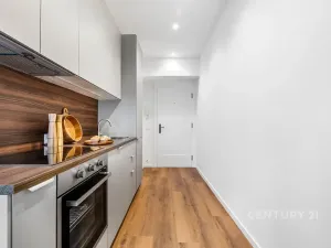 Pronájem bytu 1+kk, Praha - Žižkov, Jeseniova, 28 m2