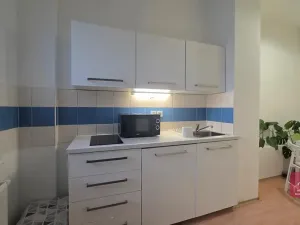 Prodej bytu 1+1, Brno, Cejl, 33 m2