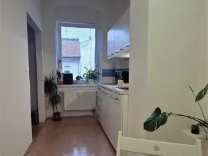 Prodej bytu 1+1, Brno, Cejl, 33 m2