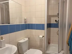 Prodej bytu 1+1, Brno, Cejl, 33 m2