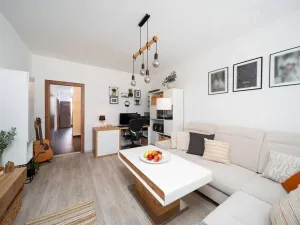 Prodej bytu 3+1, České Budějovice, Mánesova, 64 m2