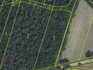 Prodej lesa, Hvozdec, 4099 m2
