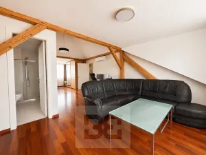 Pronájem rodinného domu, Brno, Březinova, 362 m2