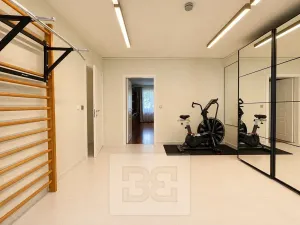 Pronájem rodinného domu, Brno, Březinova, 362 m2