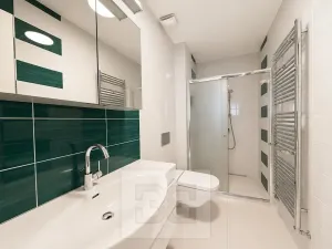 Pronájem vily, Brno, Březinova, 362 m2