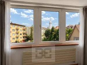 Pronájem vily, Brno, Březinova, 362 m2