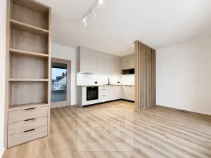 Pronájem bytu 1+kk, Brno, Řepova, 31 m2