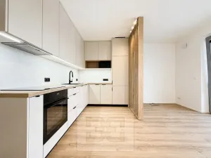 Pronájem bytu 1+kk, Brno, Řepova, 31 m2