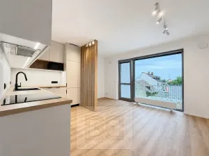 Pronájem bytu 1+kk, Brno, Řepova, 31 m2