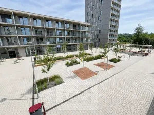 Pronájem bytu 1+kk, Brno, Pod Kavkami, 30 m2