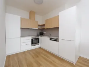 Pronájem bytu 2+kk, Praha - Karlín, Thámova, 72 m2