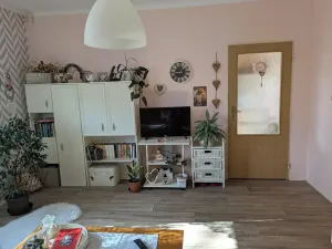 Pronájem bytu 1+1, Opava, Hany Kvapilové, 38 m2