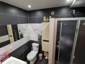 Pronájem bytu 1+1, Opava, Hany Kvapilové, 38 m2