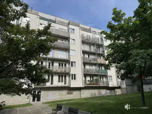 Pronájem bytu 1+kk, Praha - Strašnice, Názovská, 38 m2