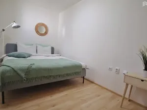 Prodej bytu 2+kk, Brno, Ríšova, 53 m2