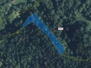 Dražba lesa, Malé Březno, 2232 m2