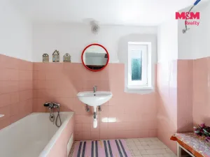 Prodej chalupy, Velká Bíteš - Jestřabí, 100 m2