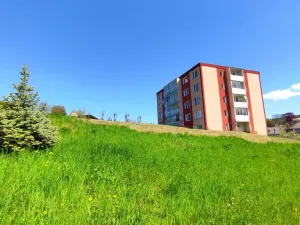 Prodej bytu 2+1, Kamenná, 56 m2