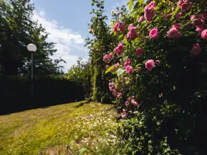 Prodej bytu 2+1, Zlín, Nad Stráněmi, 96 m2