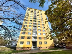 Pronájem bytu 1+1, Brno, Palackého třída, 35 m2