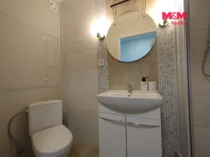 Prodej bytu 1+1, Bílina - Pražské Předměstí, Fügnerova, 34 m2