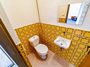 Prodej vícegeneračního domu, Uherské Hradiště, Pod Lipkami, 261 m2