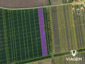 Prodej podílu pole, Suchá Loz, 3744 m2