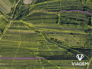 Prodej podílu pole, Velká nad Veličkou, 821 m2