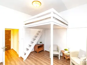 Pronájem bytu 1+kk, Praha - Vyšehrad, Vratislavova, 23 m2