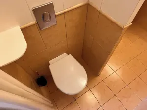 Pronájem bytu 1+1, Prostějov, Tylova, 40 m2