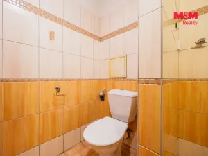 Pronájem bytu 3+kk, Příbram - Příbram III, Ryneček, 63 m2