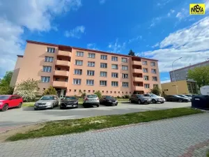 Prodej bytu 1+1, Tábor, Angela Kančeva, 30 m2