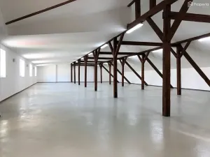 Pronájem skladu, Želešice, 24. dubna, 356 m2