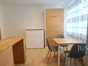 Pronájem bytu 1+1, Písek, 17. listopadu, 41 m2