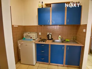 Prodej výrobních prostor, Soběslav, Wilsonova, 490 m2