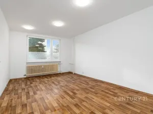Pronájem bytu 1+1, Děčín, Růžová, 35 m2
